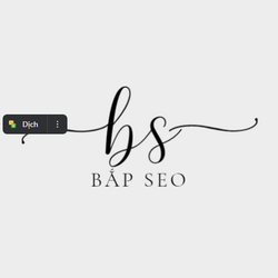 congtyseobapdigital