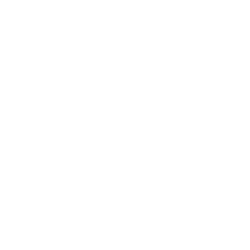stakegiristr