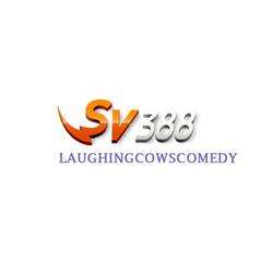 sv388laughing