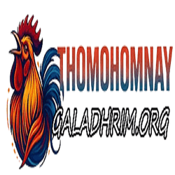 thomohomnaygalad
