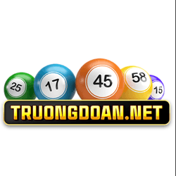 truongdoannetvn