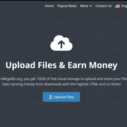 megafileorg