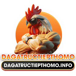 dagatructiepthomoinfo