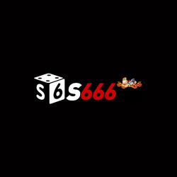 s666vntools