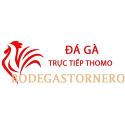 dagabodegastornero