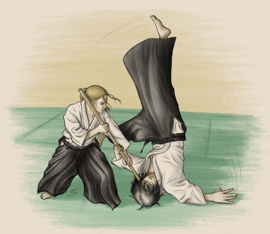 LUCHA  Equipo WindStorm aikido2.png