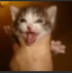 Captura de pantalla 20251030 002219.png